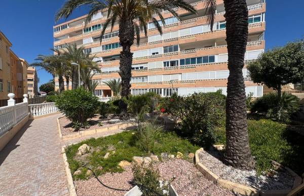 Apartamento - Venta - La Mata pueblo - Torrevieja
