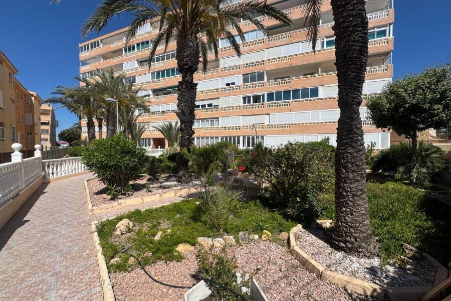 Venta - Apartamento - La Mata pueblo - Torrevieja