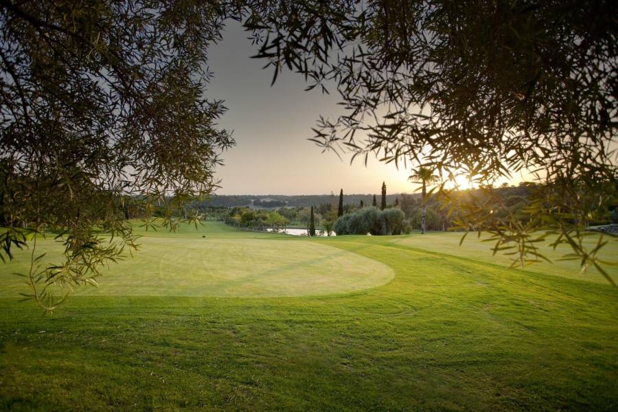 Försäljning - Takvåning - Lomas de Campoamor-Las Ramblas - Orihuela Costa