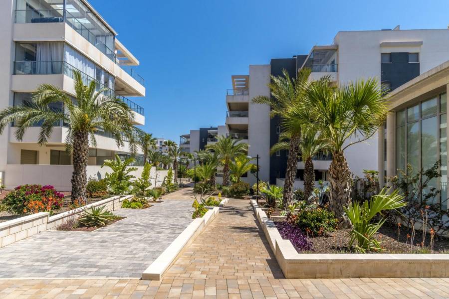 Salg - Penthouse leilighet - Los Dolses - Orihuela Costa