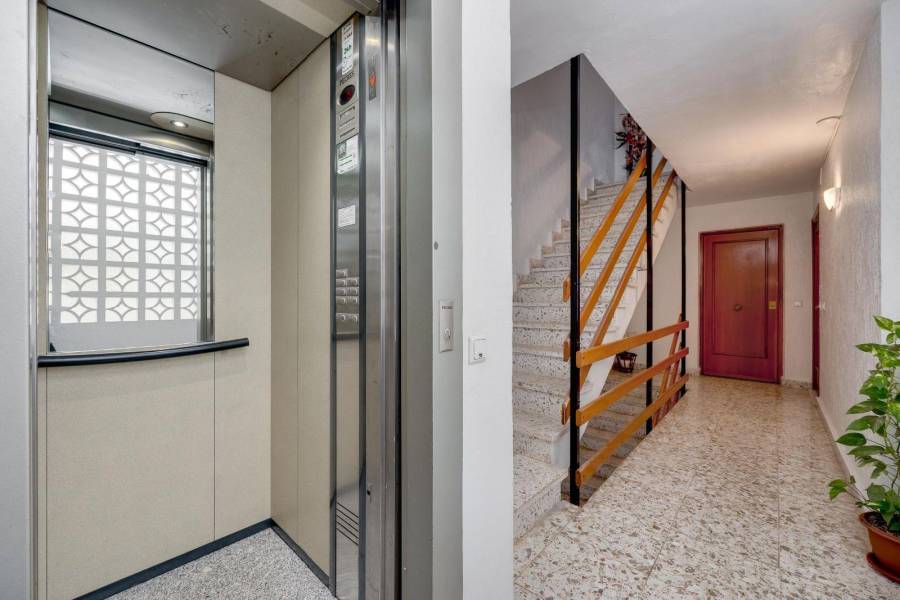 Salg - Leilighet - Centro - Torrevieja