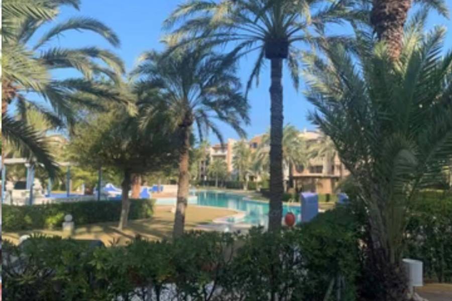 Försäljning - Lägenhet - Playa de los Locos - Torrevieja