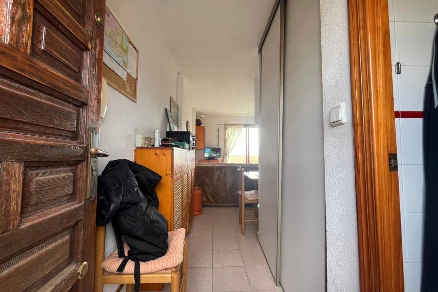 Sale - Studio - Nueva Torrevieja - Torrevieja