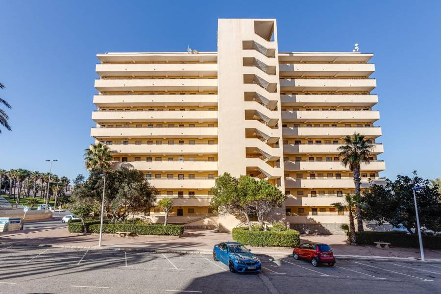 Sale - Apartment - Cabo cervera - Torrevieja