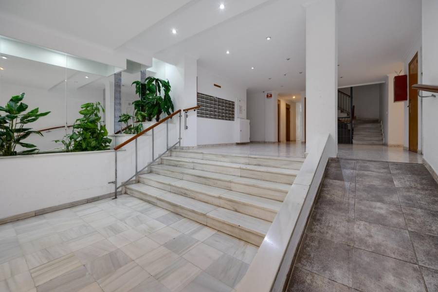 Vente - Penthouse - Habaneras - Torrevieja