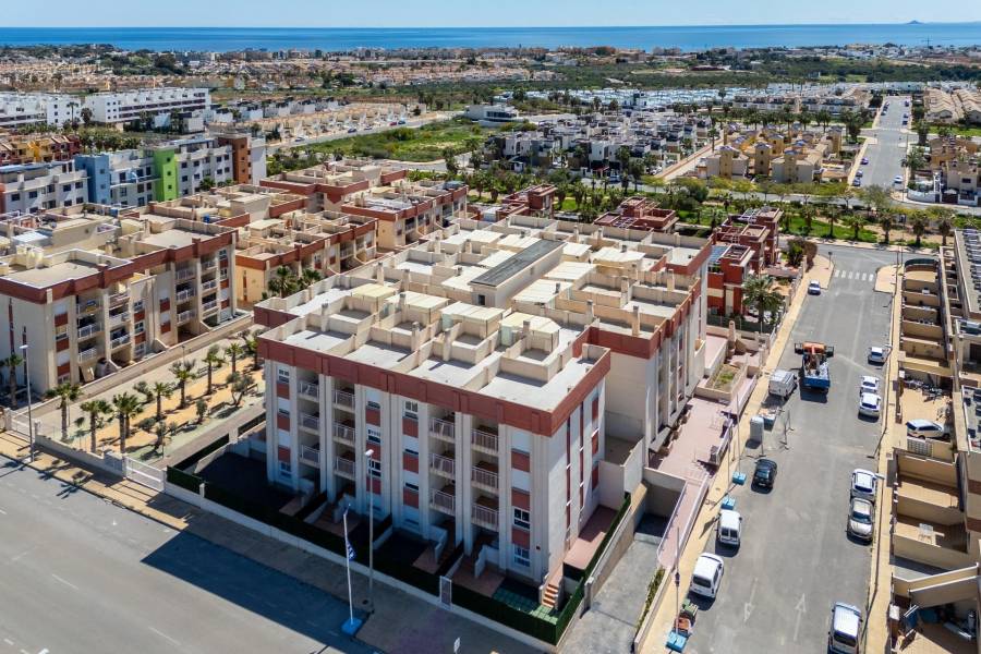 Vente - Appartement - Lomas de Cabo Roig - Orihuela Costa