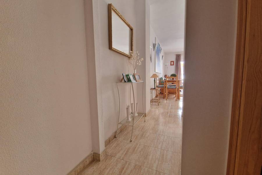 Vente - Appartement - Centro - Torrevieja