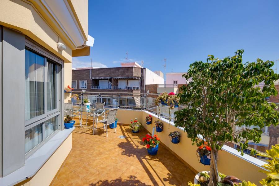 Sale - Penthouse - Centro - Torrevieja