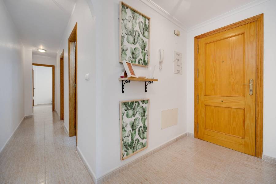 Salg - Penthouse leilighet - Habaneras - Torrevieja