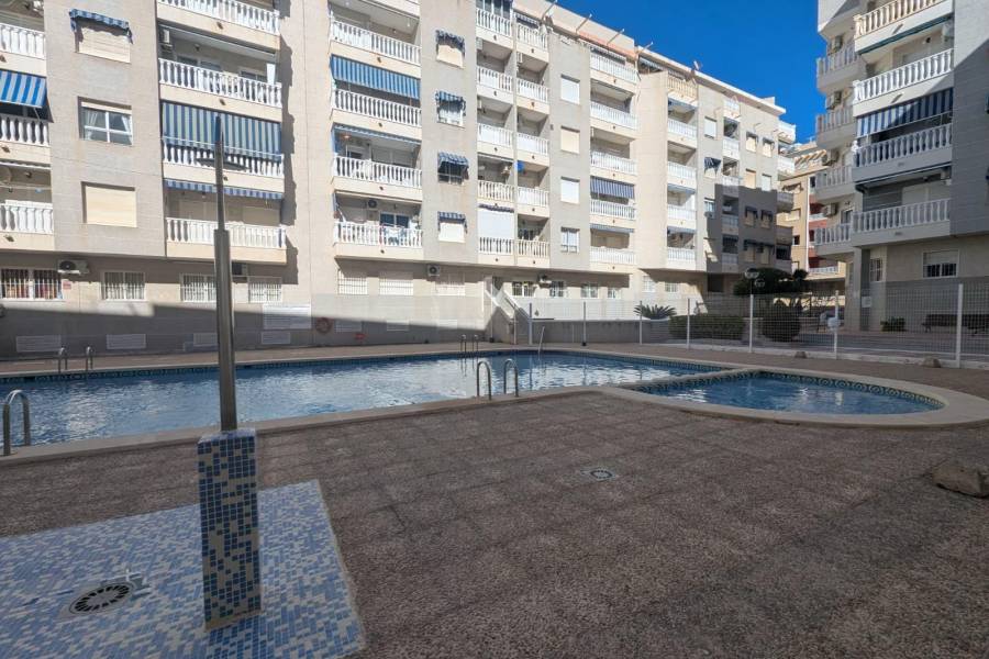 Salg - Studioleilighet - Centro - Torrevieja