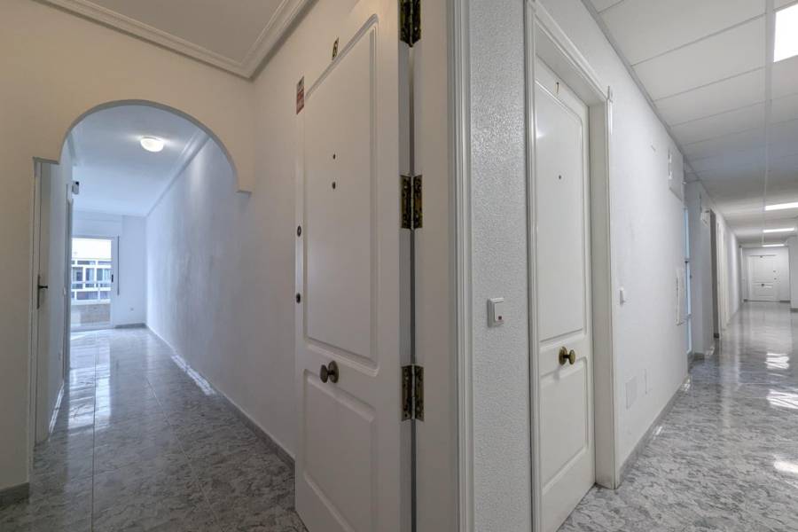 Försäljning - Lägenhet - Centro - Torrevieja