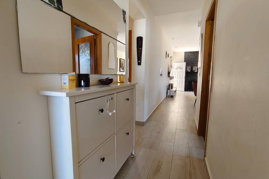 Sale - Single family house - Torreta florida - Torrevieja