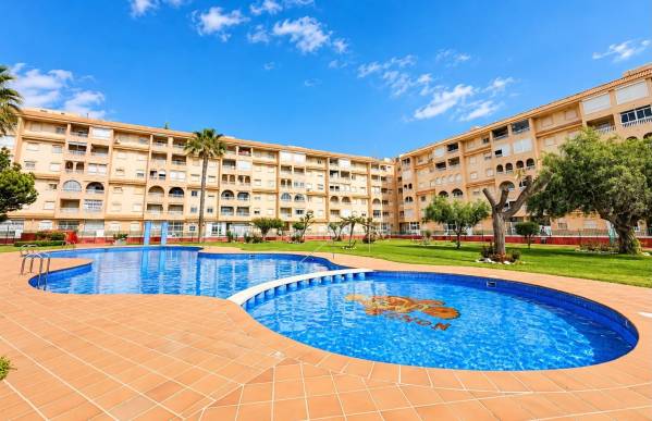 Apartment - Sale - Centro - Torrevieja