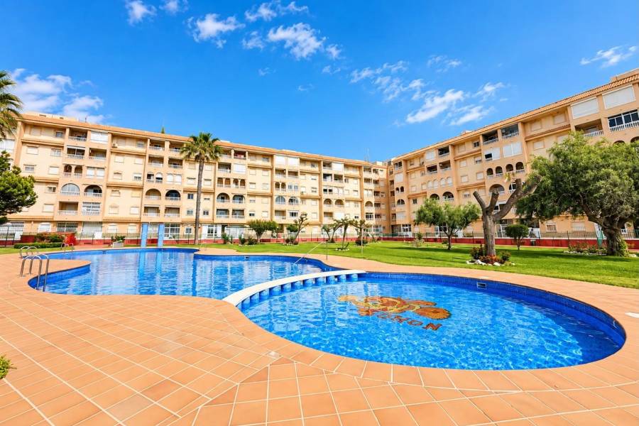 Sale - Apartment - Centro - Torrevieja