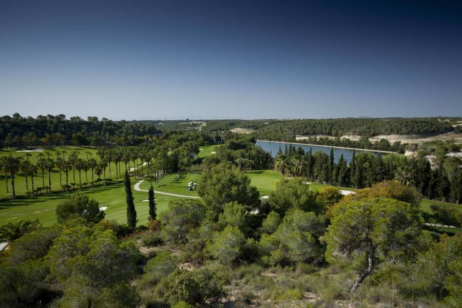 Försäljning - Takvåning - Lomas de Campoamor-Las Ramblas - Orihuela Costa