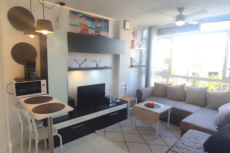 Vente - Studio - La Mata - Torrevieja