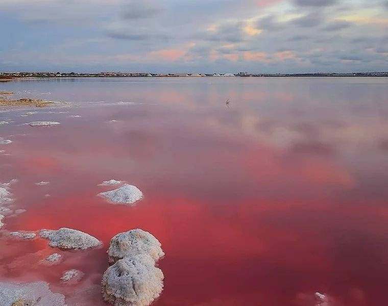 Venta - Bungalow Planta Alta - Lago jardin - Torrevieja