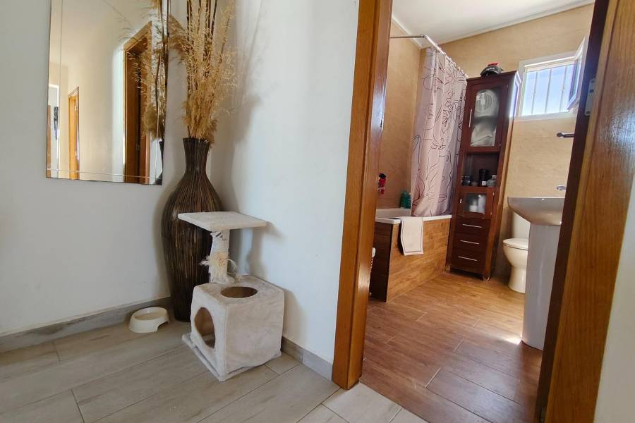 Sale - Single family house - Torreta florida - Torrevieja