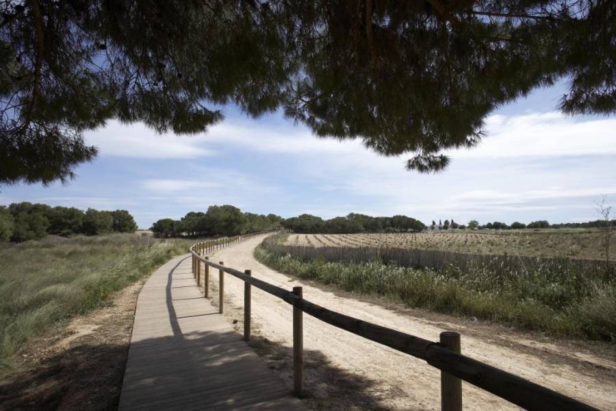 Försäljning - Nedervåning Bungalow - Aguas Nuevas - Torrevieja