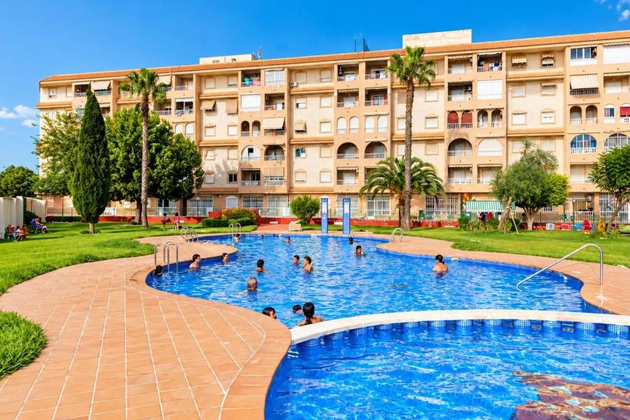 Sale - Apartment - Centro - Torrevieja