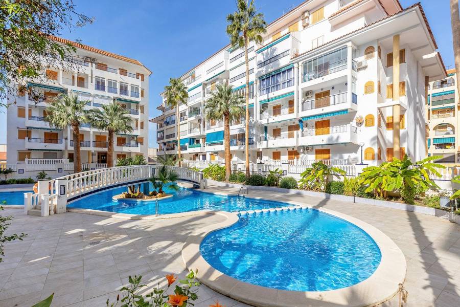 Sale - Penthouse - Los Europeos - Torrevieja