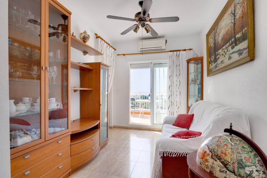 Verkauf - Penthousewohnung - Centro - Torrevieja