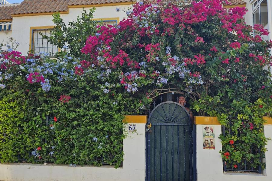 Venta - Planta baja - Zeniamar-Horizonte-La Campana - Orihuela Costa