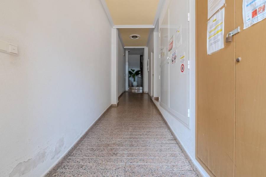 Vente - Appartement - Centro - Torrevieja