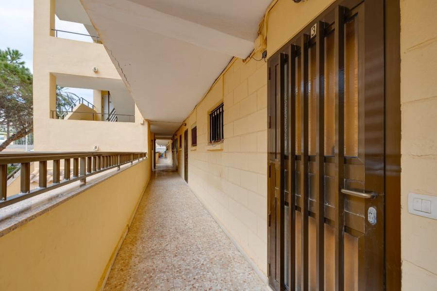 Sale - Apartment - Cabo cervera - Torrevieja