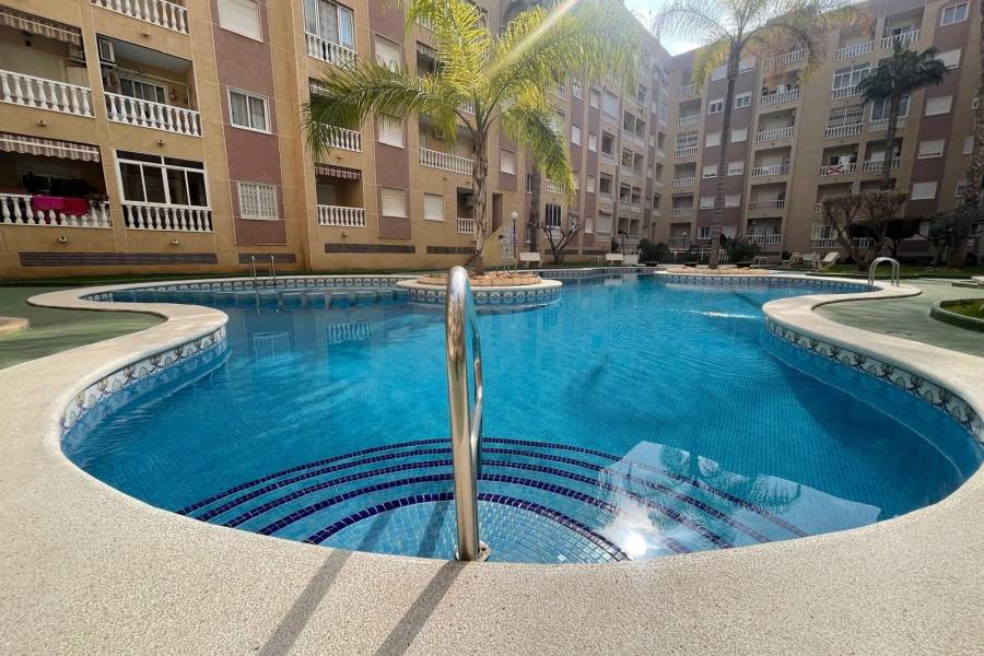 Verkauf - Apartment - Centro - Torrevieja