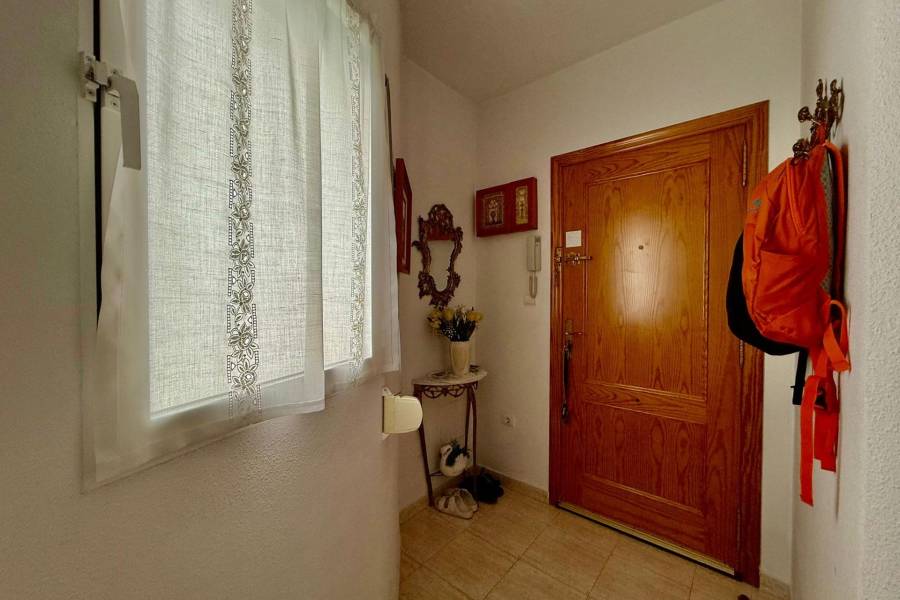 Venta - Apartamento - Estacion de autobuses - Torrevieja