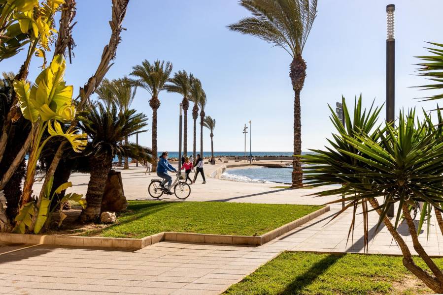 Verkauf - Apartment - Nueva Torrevieja - Torrevieja