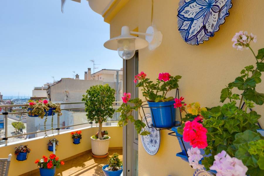 Sale - Penthouse - Centro - Torrevieja