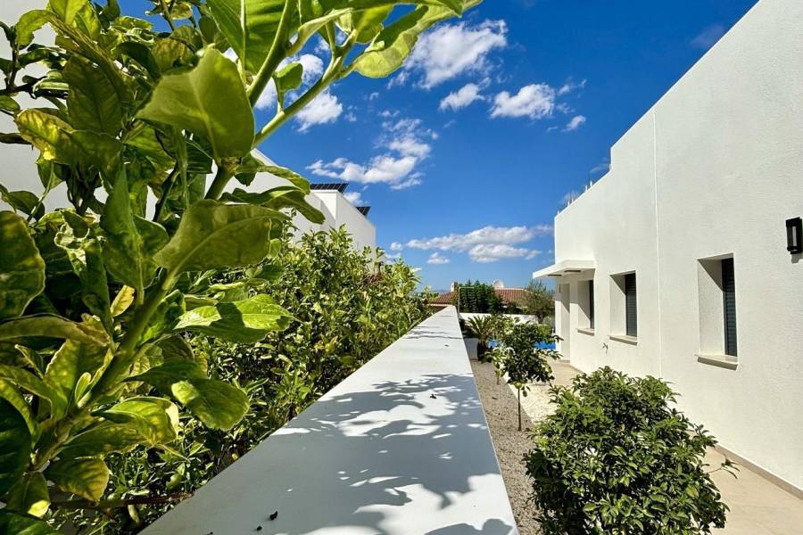 Venta - Villa - Benijófar - Benijofar