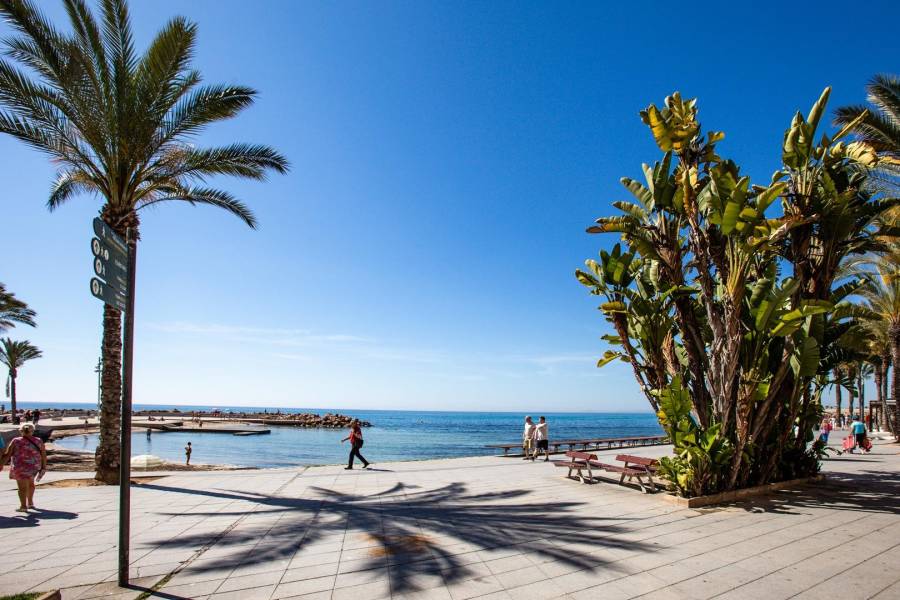 Venta - Apartamento - Centro - Torrevieja