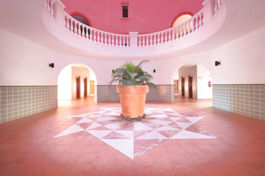 Venta - Apartamento - Los Frutales - Torrevieja