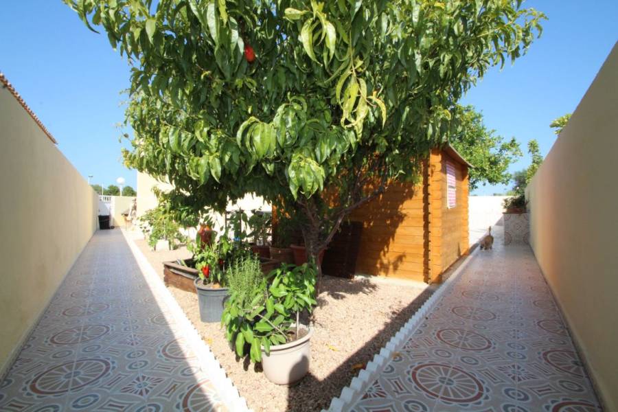 Venta - Chalet - torrevieja - Torrevieja