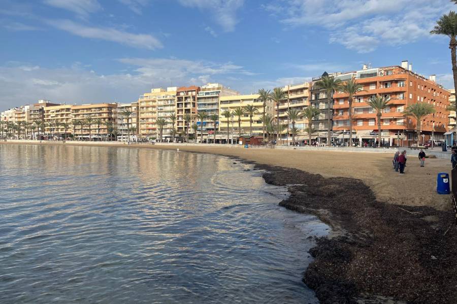 Verkauf - Apartment - Playa del cura - Torrevieja