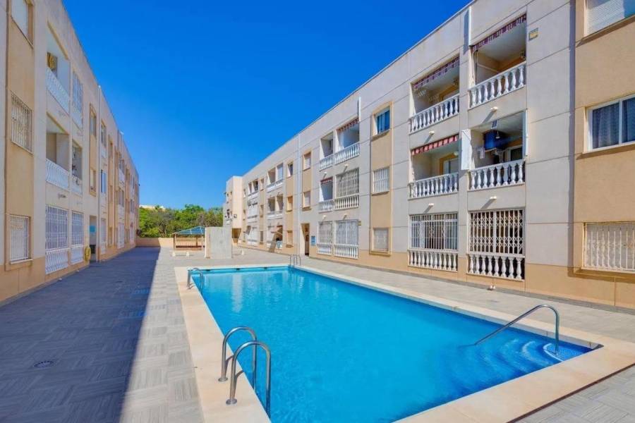 Sale - Apartment - Centro - Torrevieja