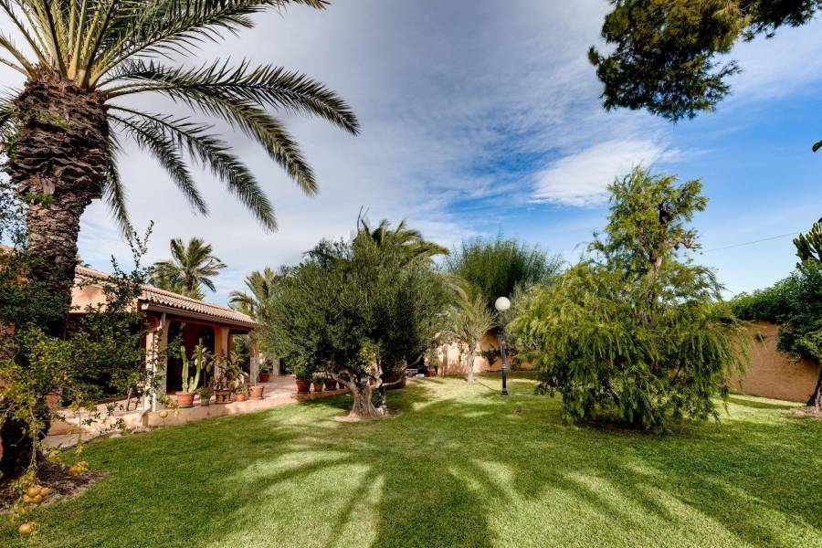 Venta - Villa de Lujo - San luis - Torrevieja