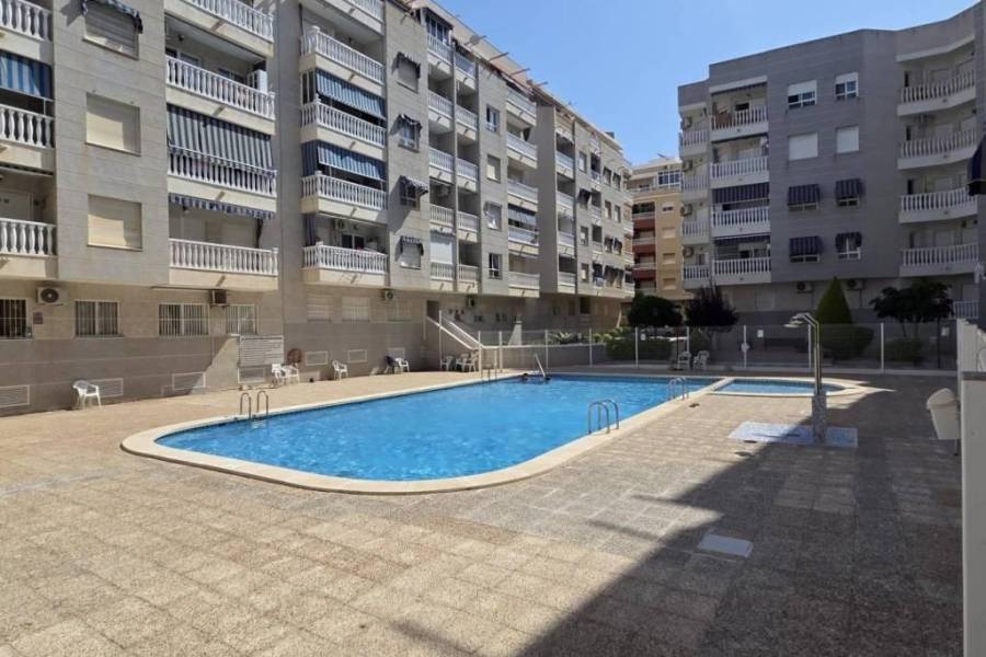 Venta - Apartamento - Estacion de autobuses - Torrevieja