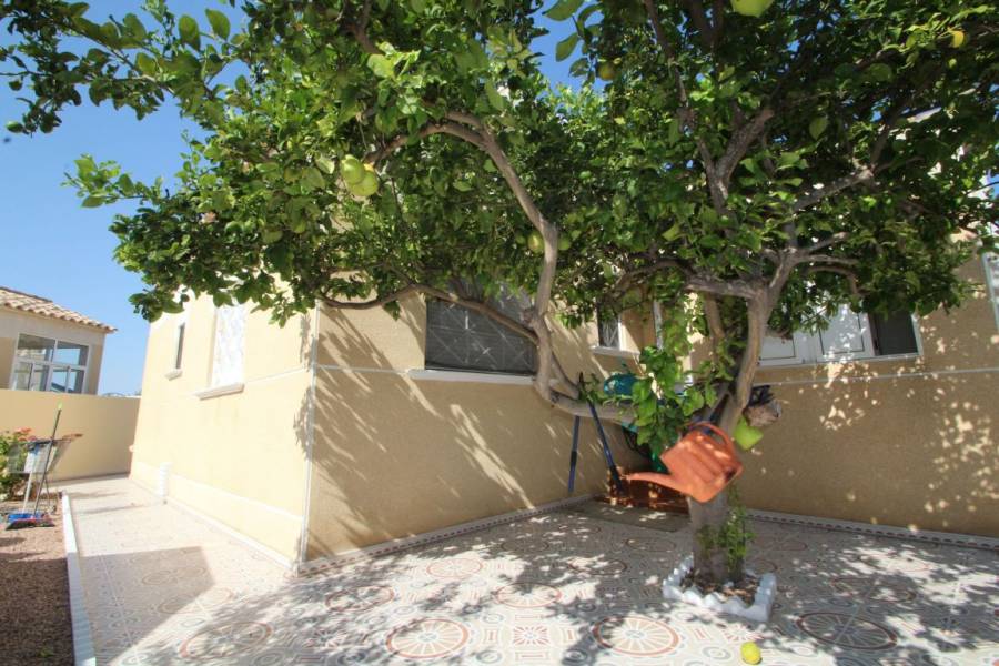 Venta - Chalet - torrevieja - Torrevieja