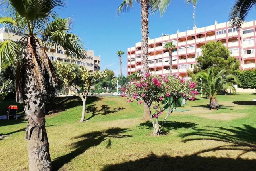 Salg - Leilighet - Aguas nuevas 2 - Torrevieja