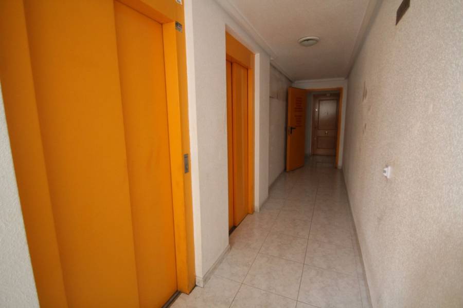 Venta - Apartamento - Centro - Torrevieja