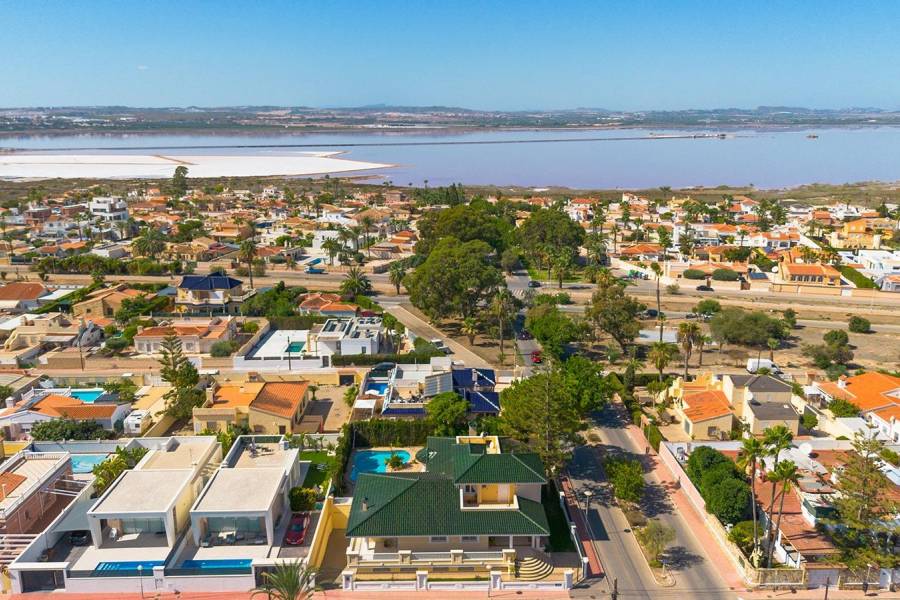 Försäljning - Villa - Torreta florida - Torrevieja