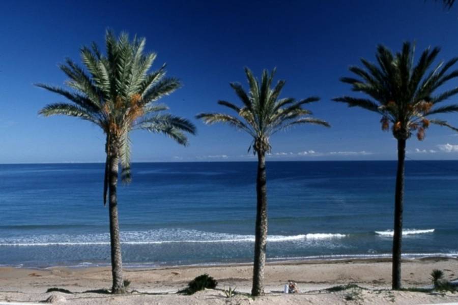Salg - Bungalow i 1. etasje - Zona Pueblo - Pilar de la Horadada