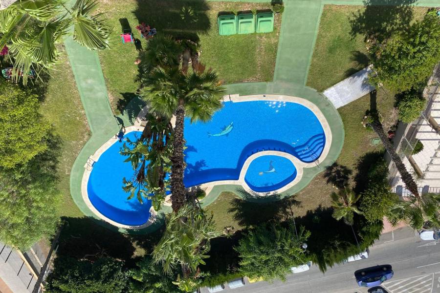 Försäljning - Takvåning - Aguas nuevas 2 - Torrevieja