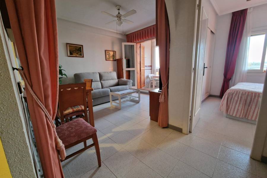 Venta - Apartamento - torrevieja - Torrevieja