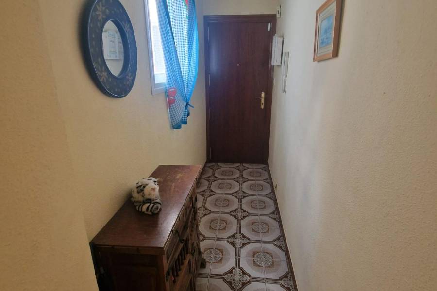 Venta - Apartamento - torrevieja - Torrevieja