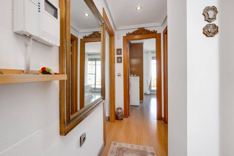 Sale - Penthouse - Centro - Torrevieja